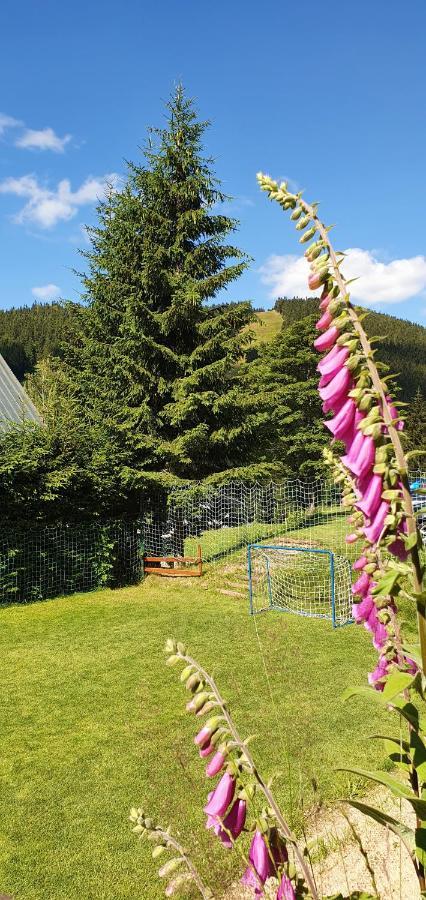 Pension Renata Harrachov Luaran gambar